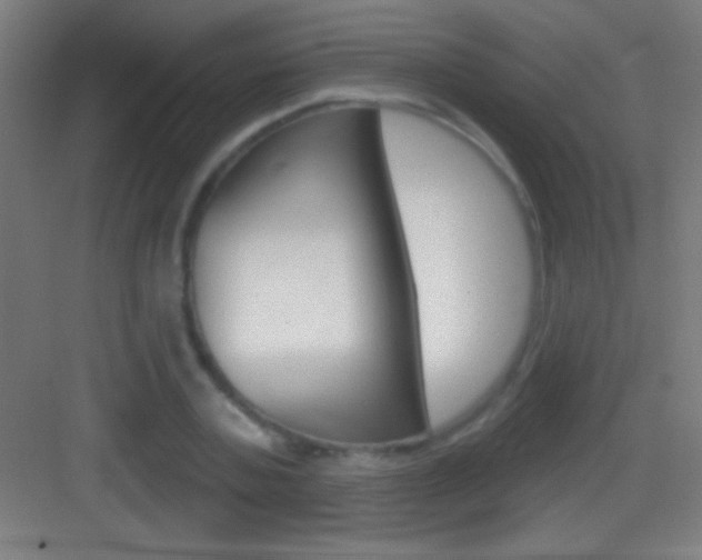 X0000083570787200702090814