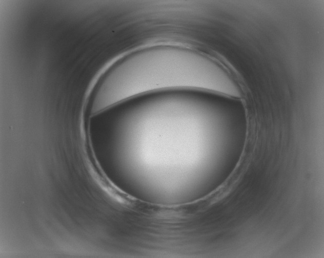 X0000083570788200702090814