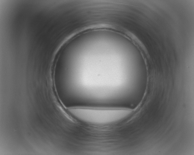 X0000083570789200702090814
