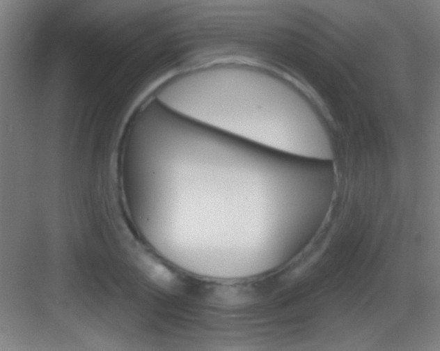 X0000083570790200702090814
