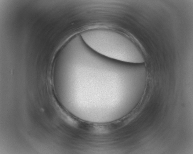 X0000083570794200702090814