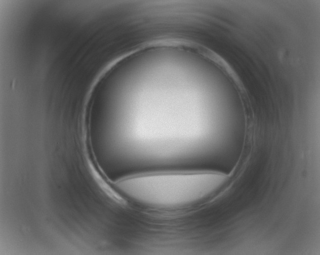 X0000083570795200702090814