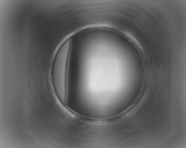 X0000083570797200702090814