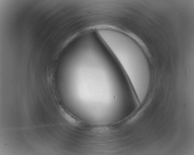 X0000083570801200702090814