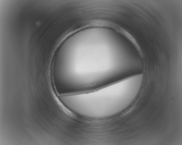 X0000083570803200702090814
