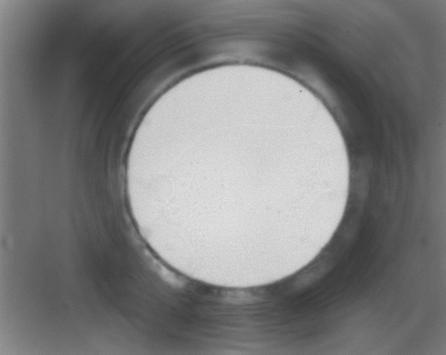X0000083570807200702090814