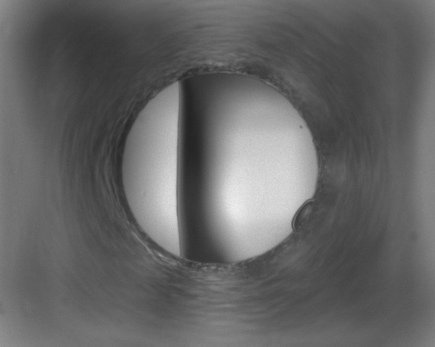 X0000083570817200702090813