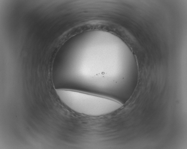X0000083570821200702090813