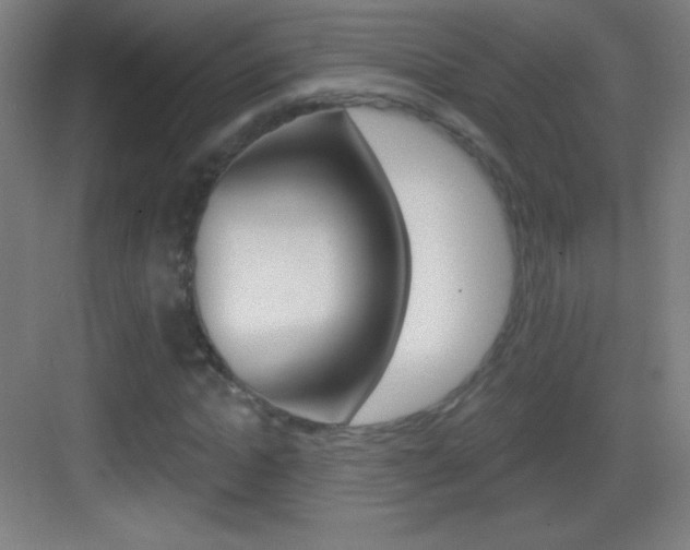 X0000083570822200702090813
