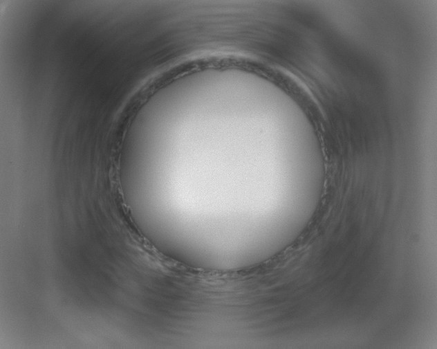 X0000083570823200702090813