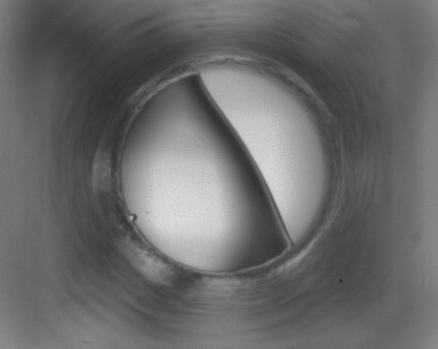 X0000083570825200702090813