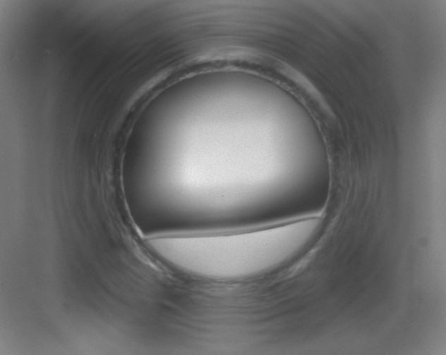 X0000083570826200702090813