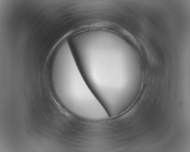 X0000083570827200702090813