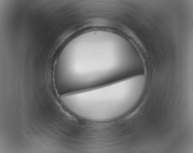 X0000083570829200702090813