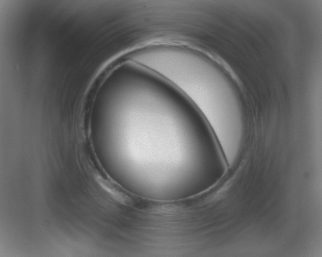 X0000083570830200702090813