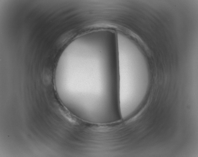 X0000083570833200702090813