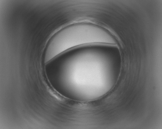 X0000083570834200702090813