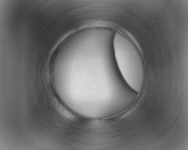 X0000083570835200702090813