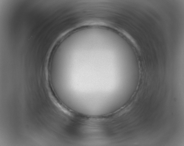 X0000083570840200702090813