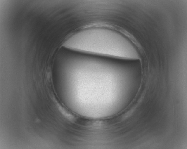 X0000083570841200702090813