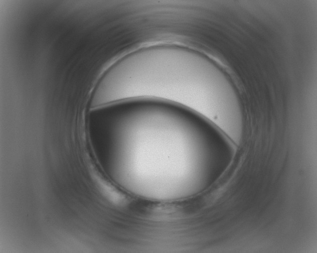 X0000083570842200702090813