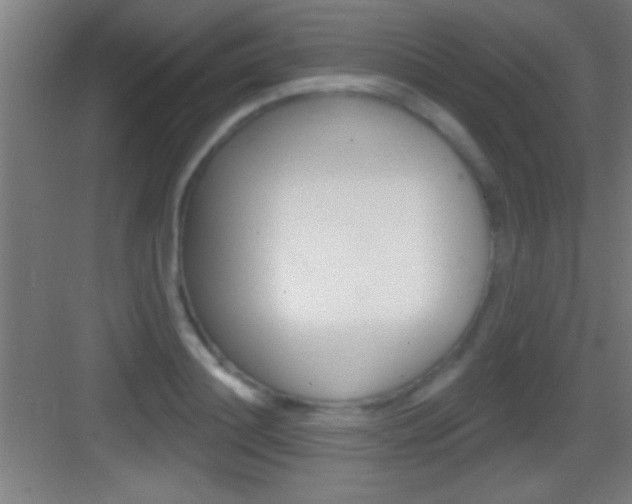 X0000083570844200702090813