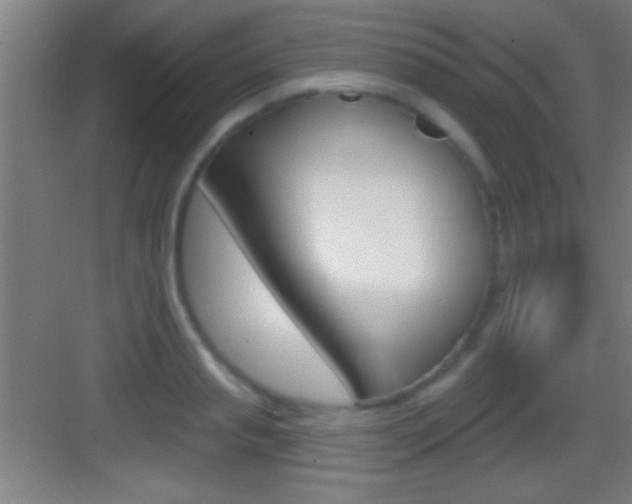X0000083570845200702090813