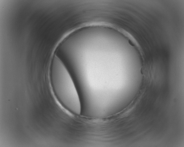 X0000083570847200702090813