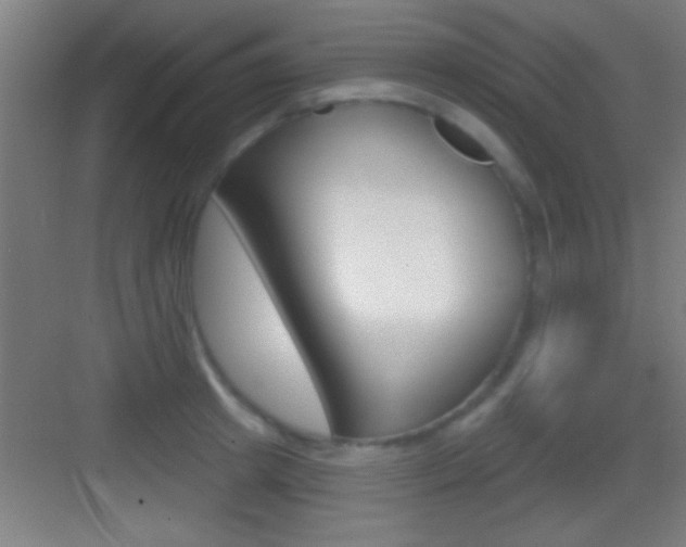 X0000083570849200702090813
