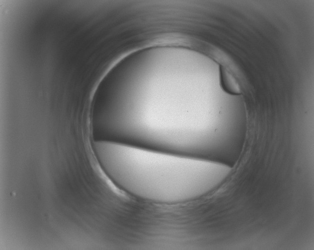 X0000083570852200702090813