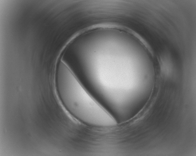 X0000083570853200702090813