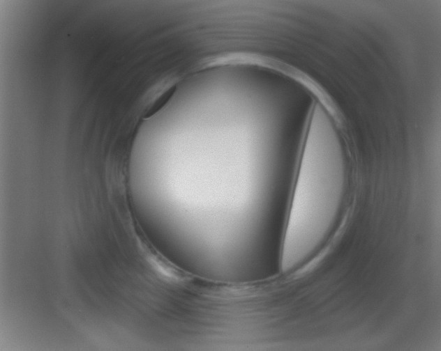 X0000083570857200702090813