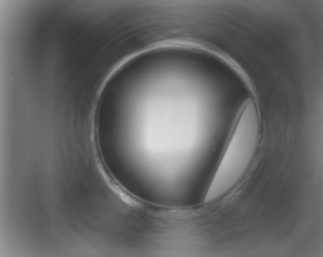 X0000083570862200702090813