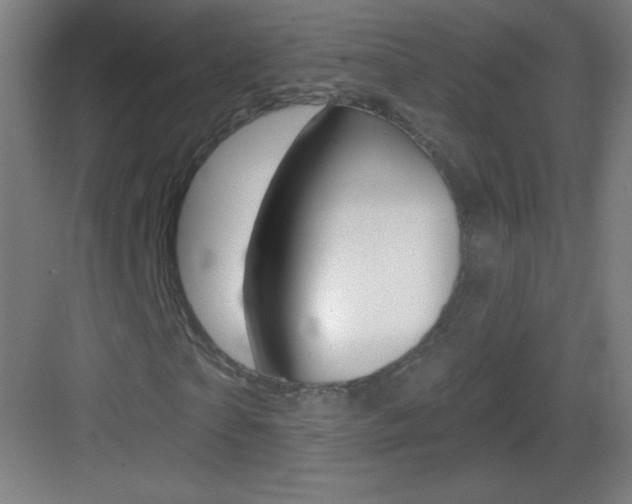X0000083570865200702090813