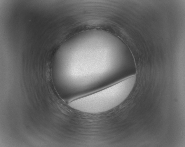 X0000083570868200702090813