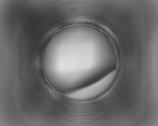 X0000083570873200702090812
