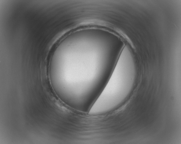 X0000083570877200702090812