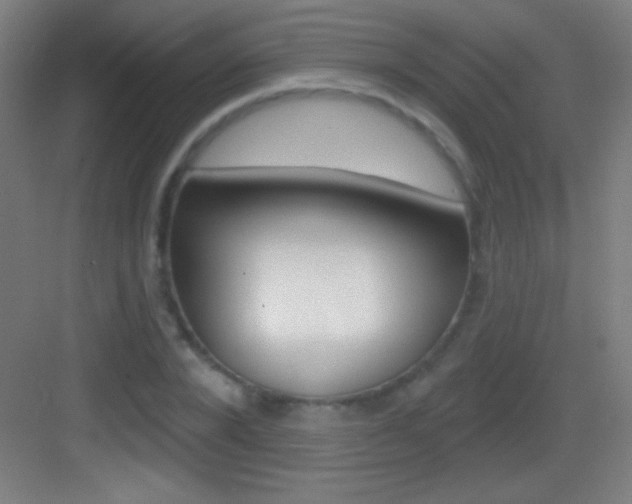 X0000083570880200702090812