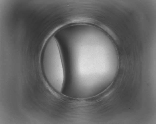 X0000083570885200702090812
