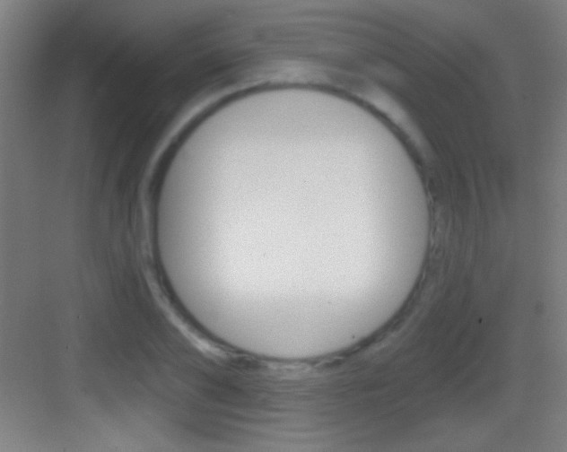 X0000083570886200702090812