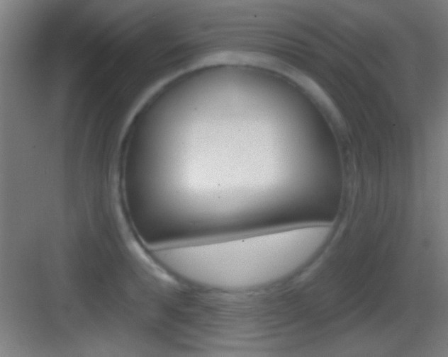 X0000083570896200702090812
