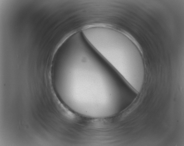 X0000083570906200702090812