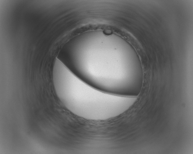 X0000083570919200702090811