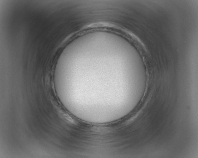 X0000083570921200702090811