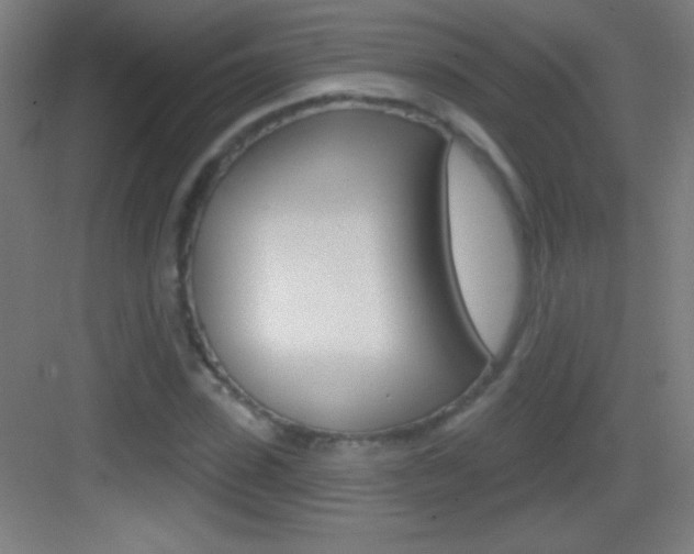 X0000083570923200702090811