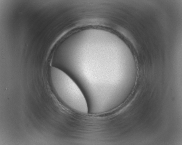 X0000083570925200702090811