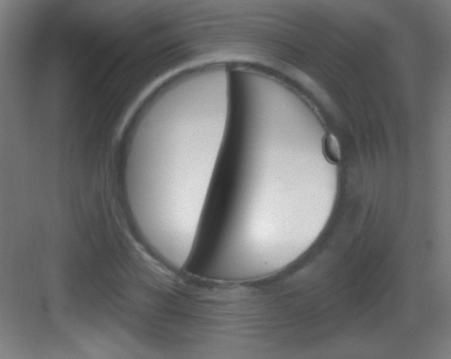 X0000083570926200702090811