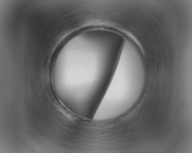 X0000083570927200702090811