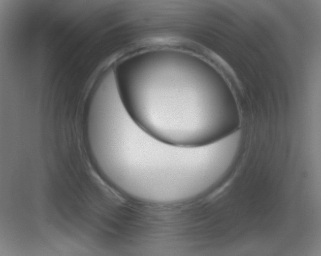 X0000083570930200702090811