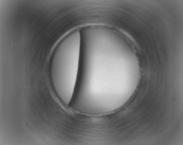 X0000083570933200702090811